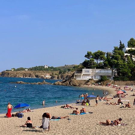 Studio Moderne Argeles Sur Mer.La Plage A Pieds, Espagne A 30Mn Exterior photo