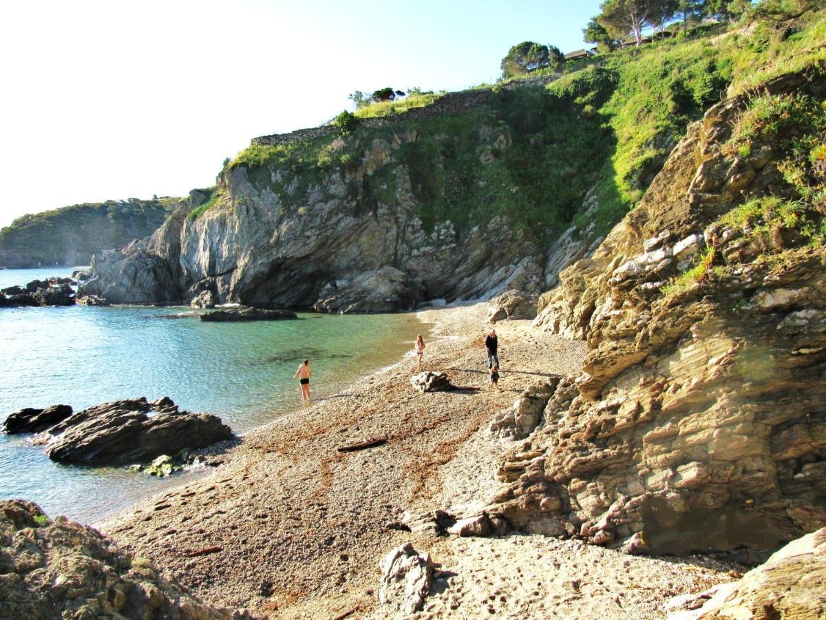 Studio Moderne Argeles Sur Mer.La Plage A Pieds, Espagne A 30Mn Exterior photo